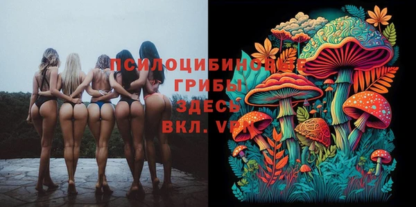 гашишное масло Горняк