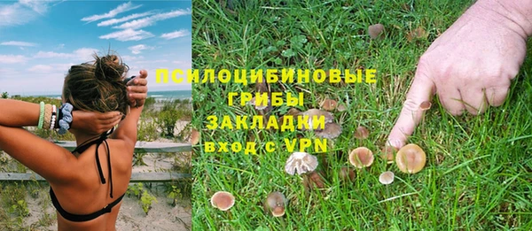 a pvp Горно-Алтайск